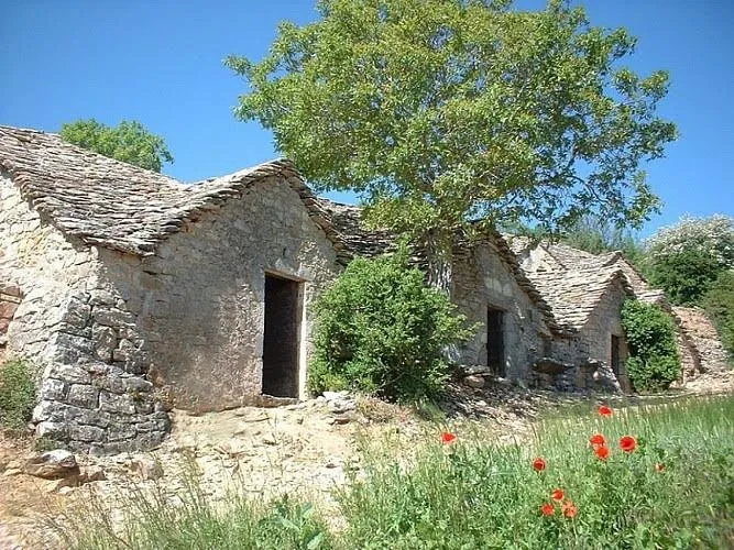 Caves d’Entre Deux Monts – Animations 2026