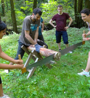 Olympiades : à vos marques, prêts... coopérez !