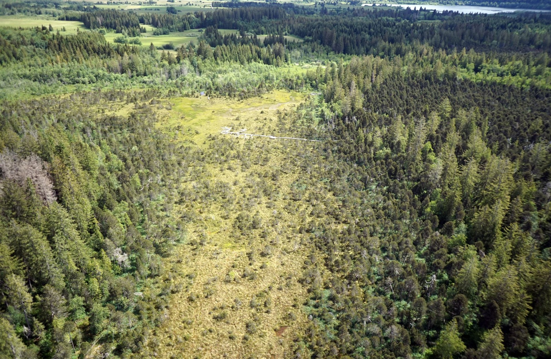 Conférence Marc-André Sélosse et les mystères du sol