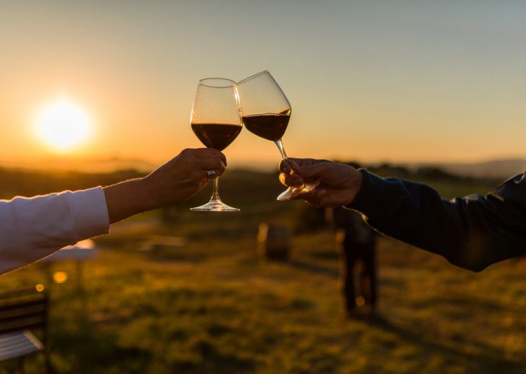 COUCHER DE SOLEIL ET DÉGUSTATION DE VINS – SAINT-GUIRAUD