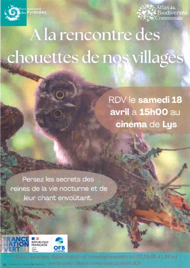 Fêtons la biodiversité : A la rencontre des chouettes de nos villages