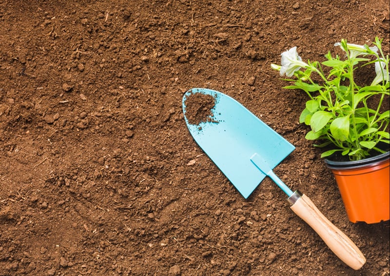 Animation familles : Jardinage
