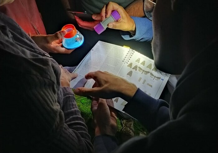 Ambiance crépusculaire et découverte des papillons de nuit
