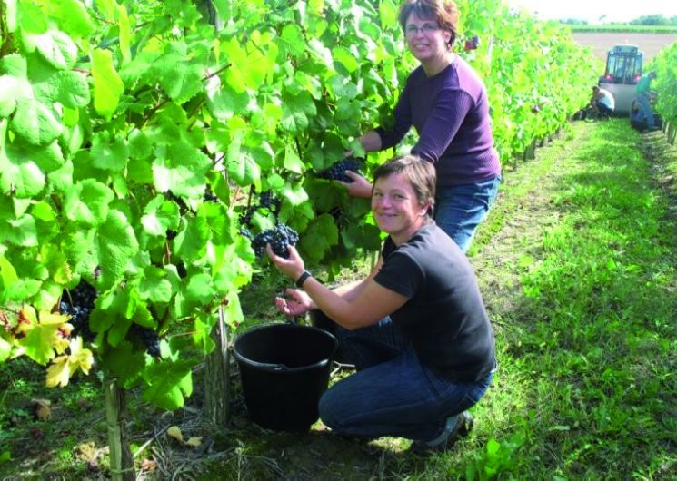 Les jeudis de l’été