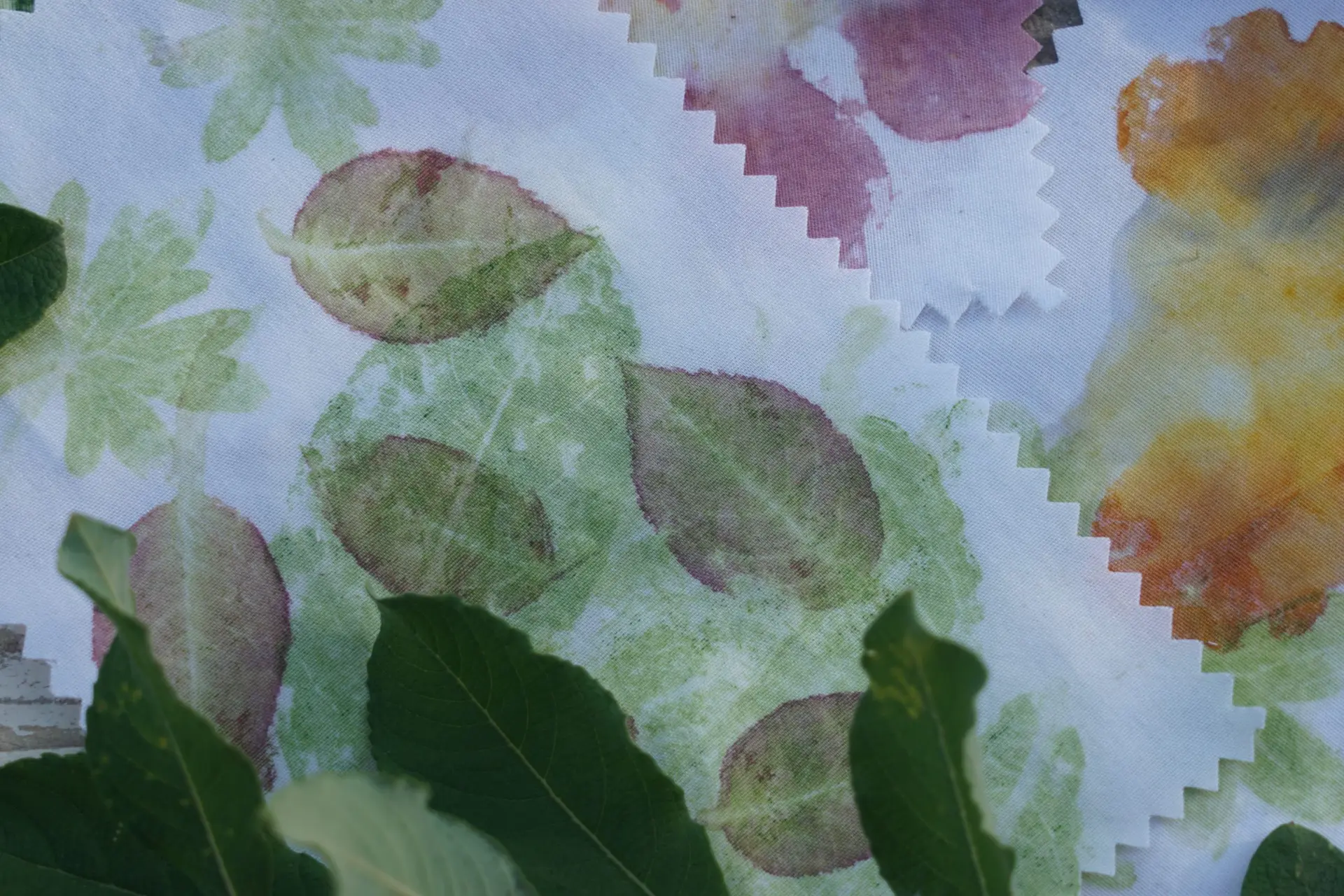 Atelier impressions végétales – Tataki zomé