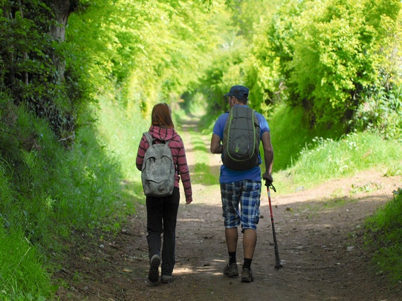 Trail de la forêt de Saint-Sever-Calvados