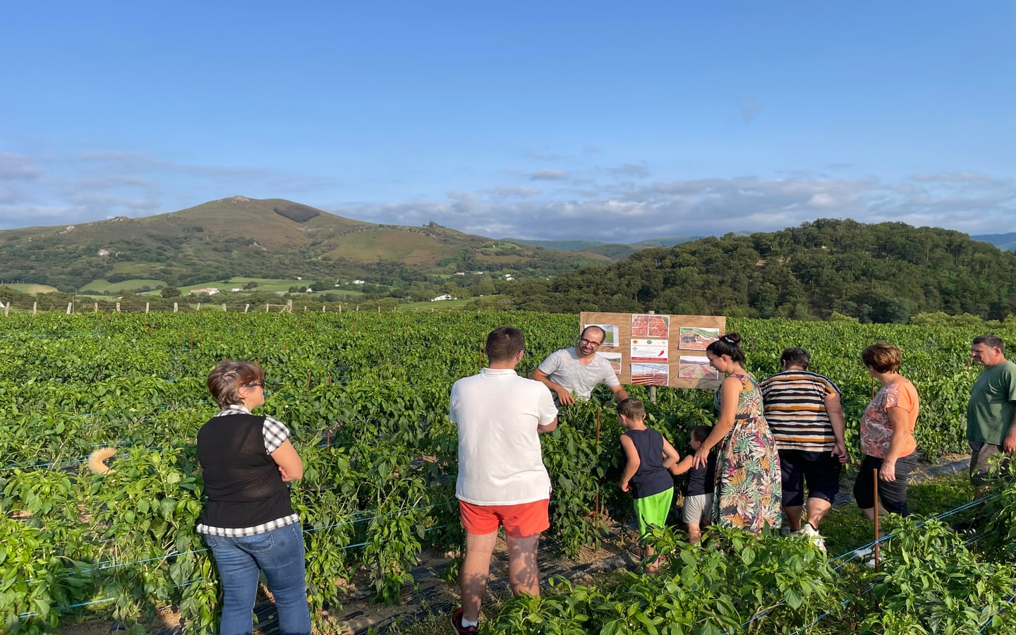 Visite d'une ferme familiale de piment d'Espelette
