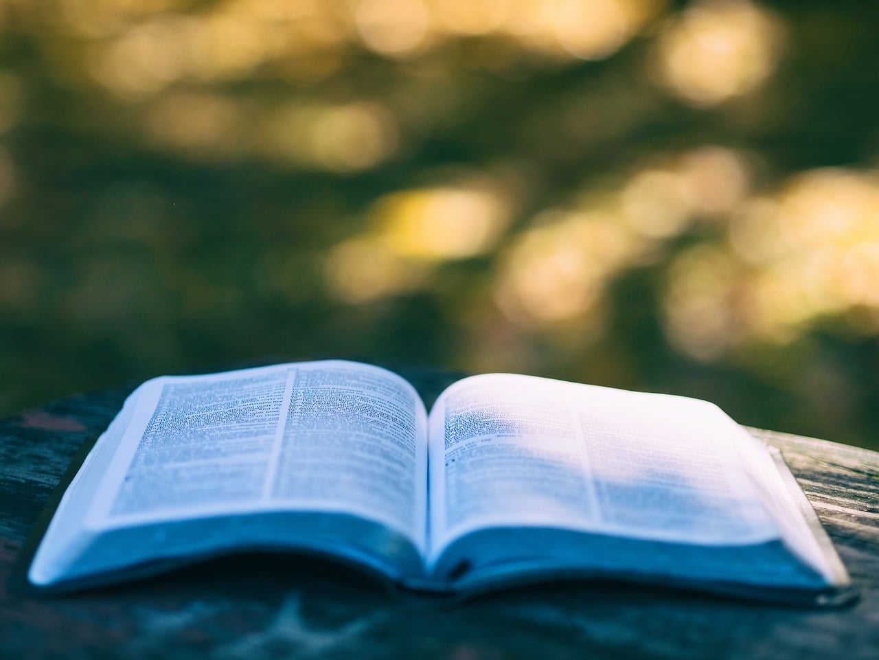 Exposition : "Voici un livre"