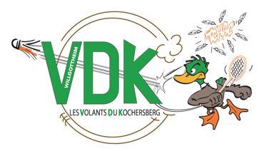 Pratique du badminton pour les adultes