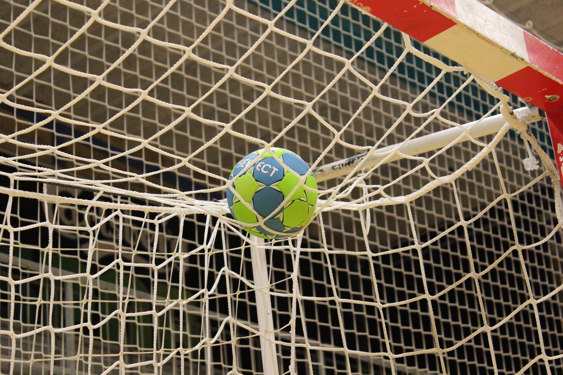 Tournoi sur herbe