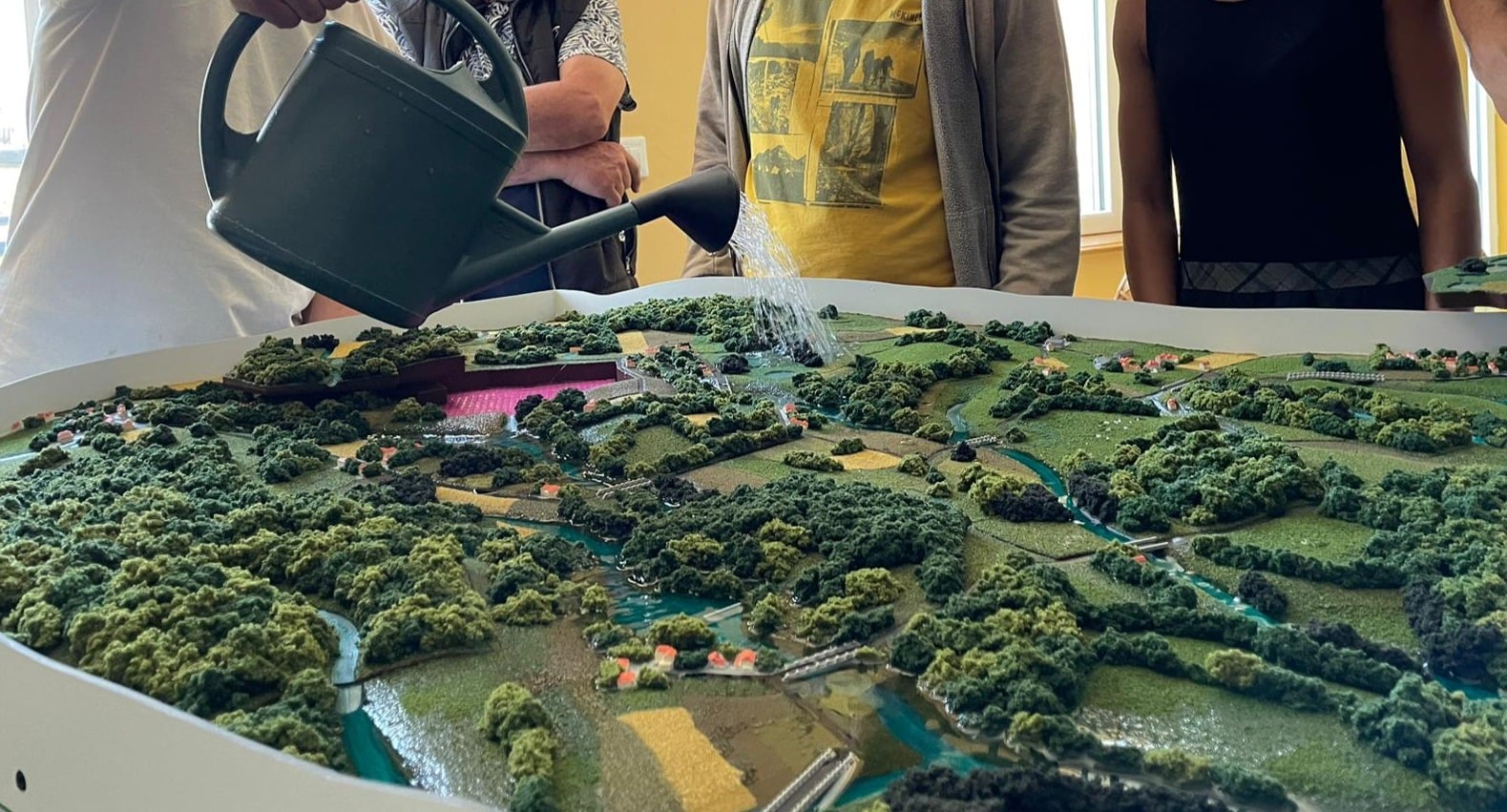 Le rôle des zones humides