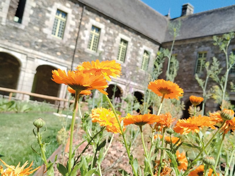 Création d’un baume