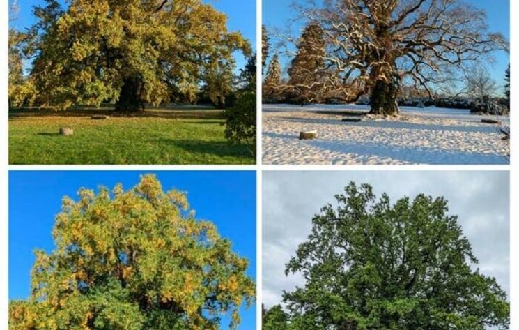 Jardin de Lessines - Rendez-vous aux jardins