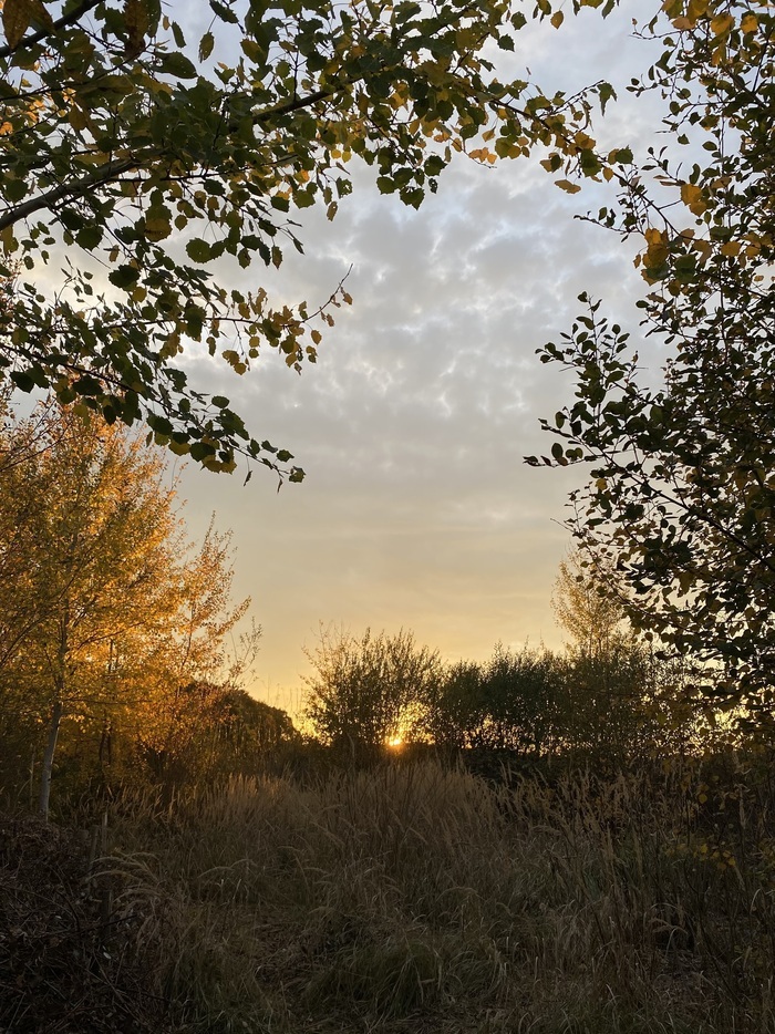 Prendre soin de la biodiversité avec Haie-Magique