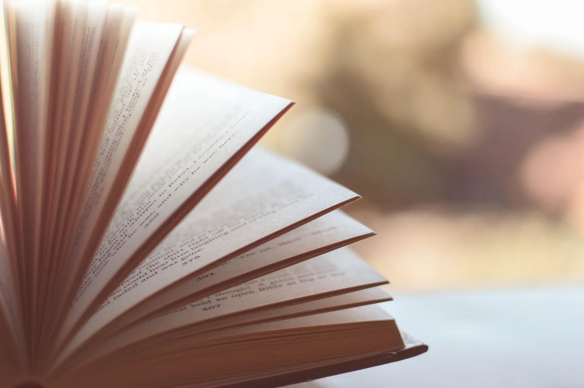 Festival  du livre