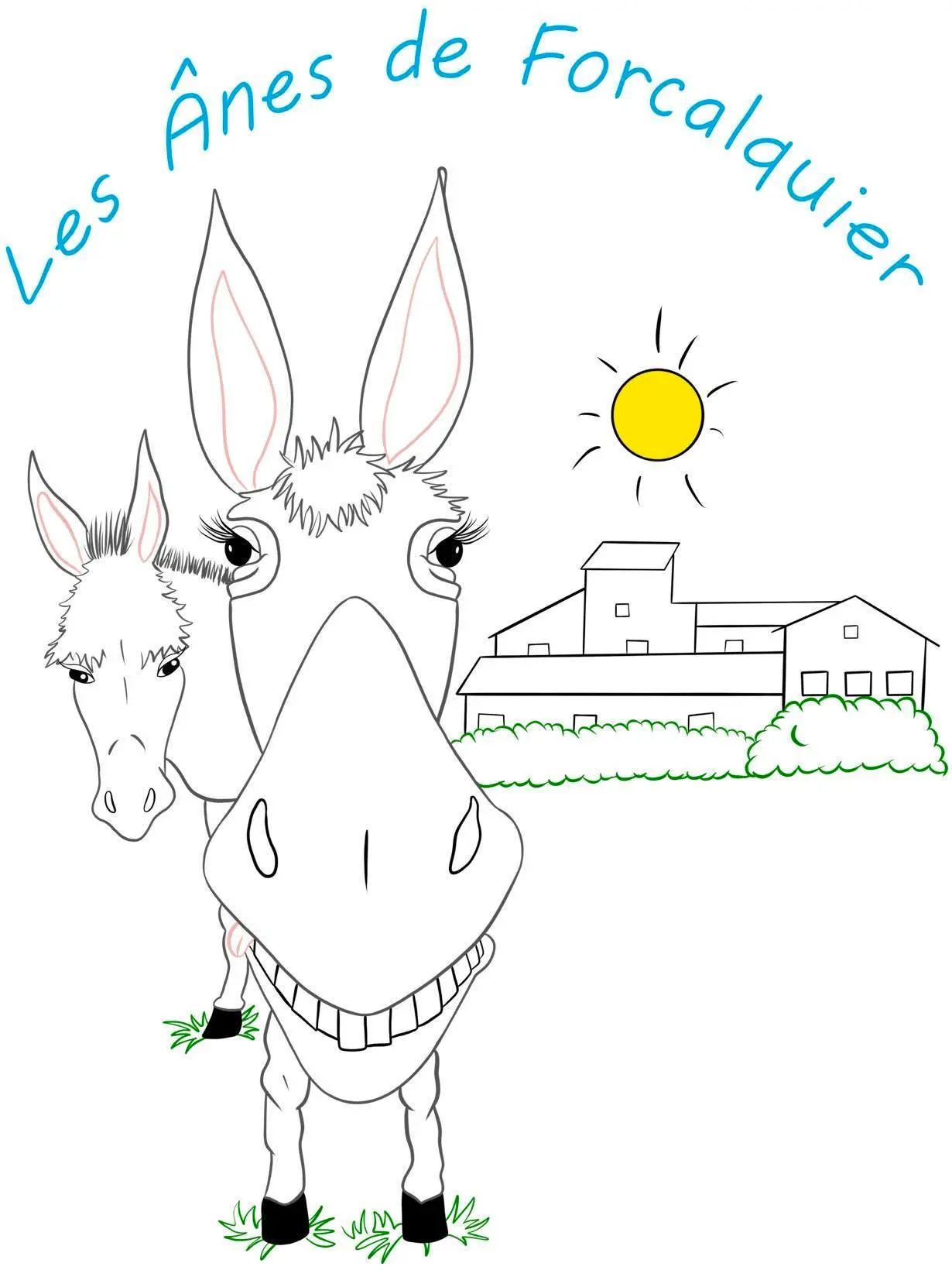 Randonnées libres avec un âne