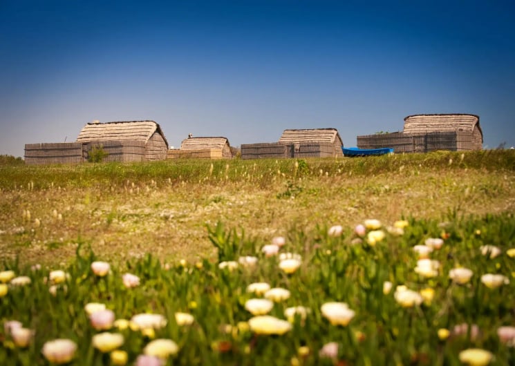 L’ETANG ET LE VILLAGE DE PÊCHEURS