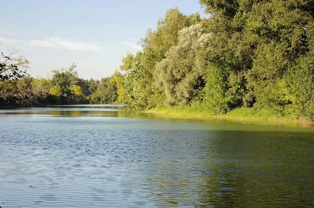 Découverte des secrets de l'Adour "Sur les chemins secrets de la biodiversité"