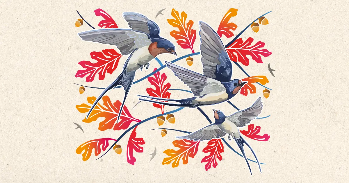 Sortie nature "Martinets & Hirondelles"