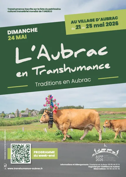 Un samedi à Aubrac - L'Aubrac en Transhumance