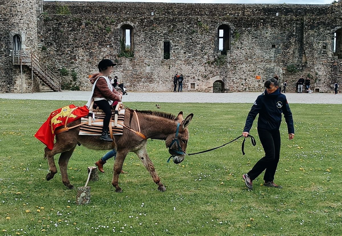 Atelier jeune public : "Les Olympiades du Moyen-âge"