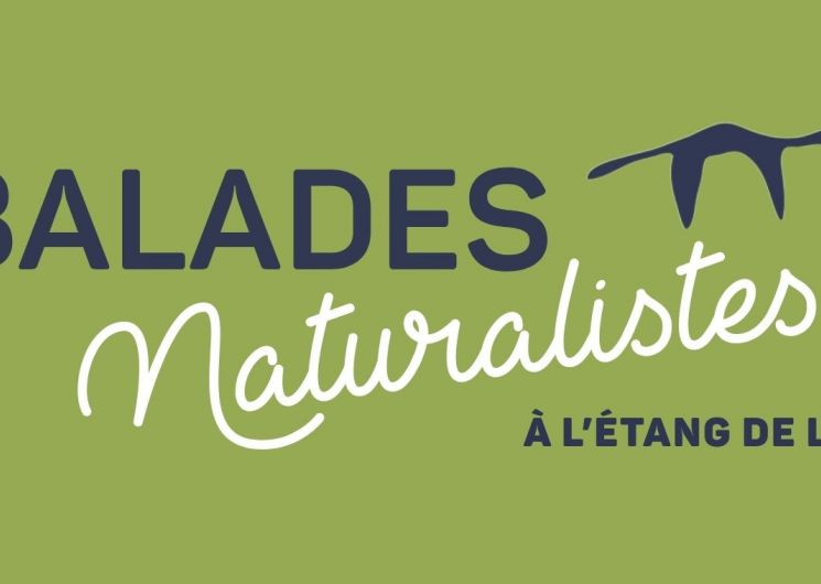 BALADES NATURALISTES À L’ÉTANG DE L’OR