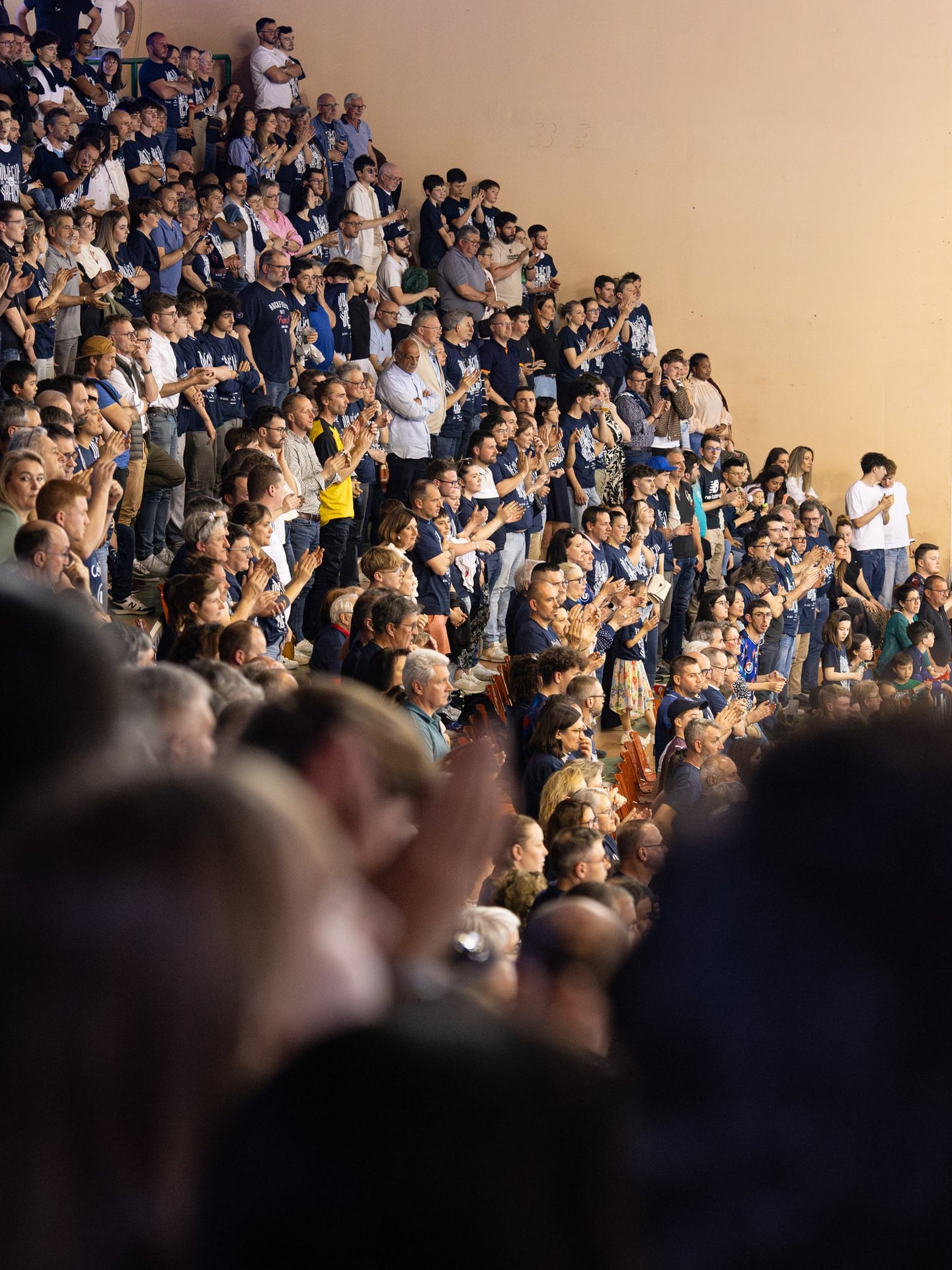 Match Limoges Handball / Cesson-Rennes