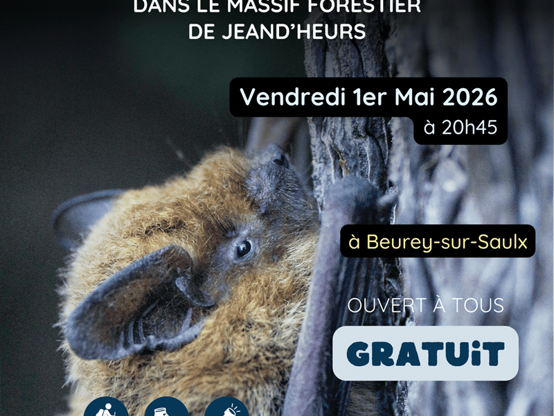 Animation nature : mystères et voix de la nuit