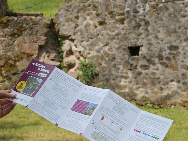 Les mystères du vignoble : Châtenois