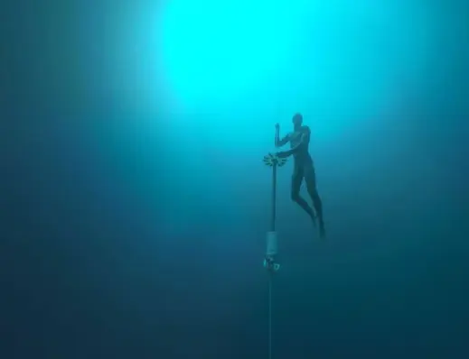Réalité virtuelle: Dolphin Man