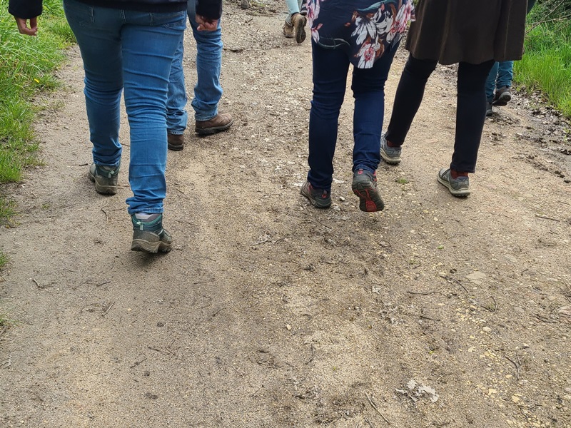 Randonnée pédestre semi-nocturne