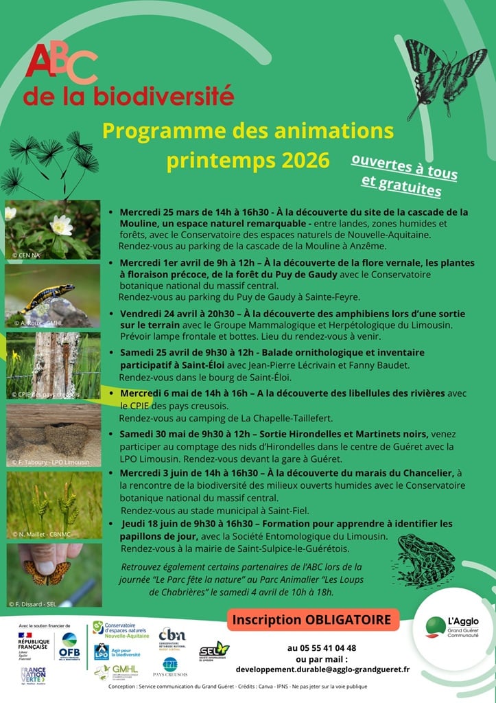 ABC de la biodiversité : sortie hirondelles et martinets noirs