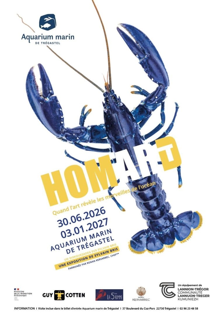 Homard – Quand l’art révèle les merveilles de l’Océan