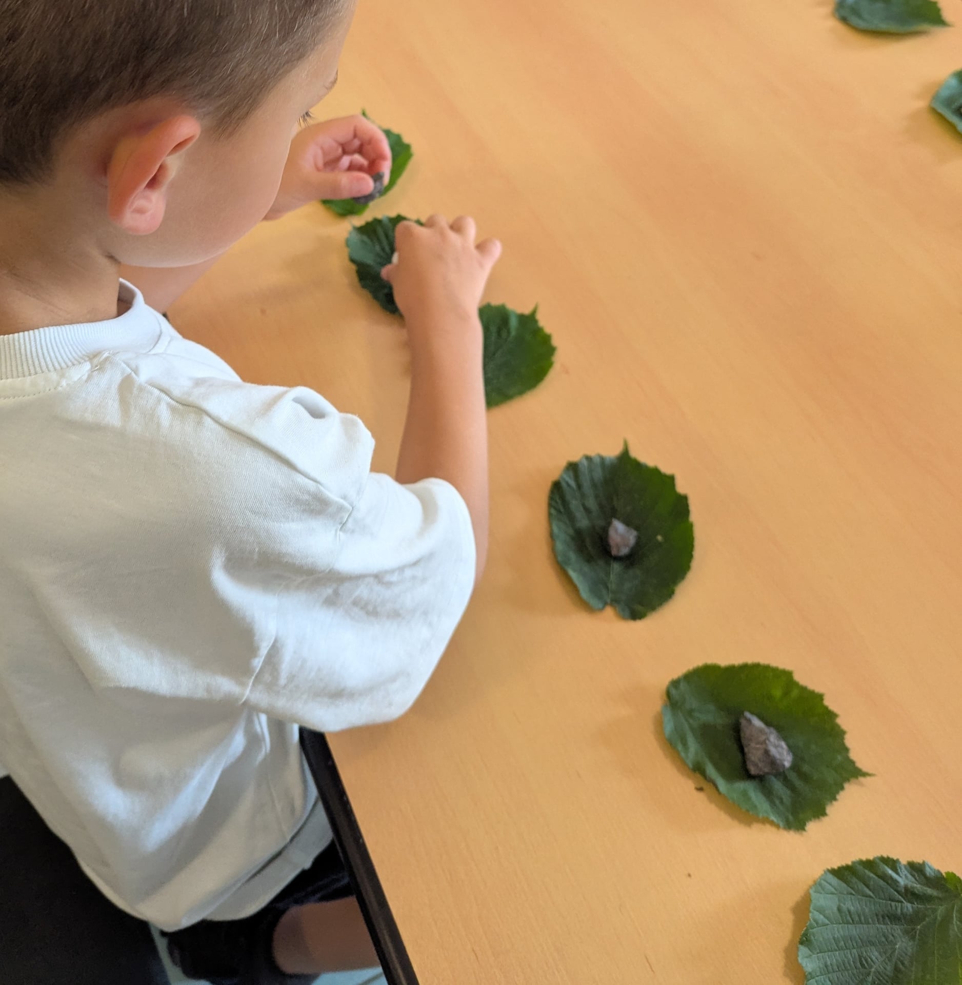 Pierre, feuille, bâton, jouons nature !