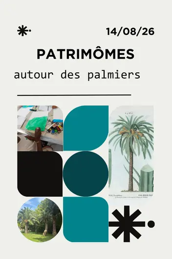 Patrimômes : autour des palmiers