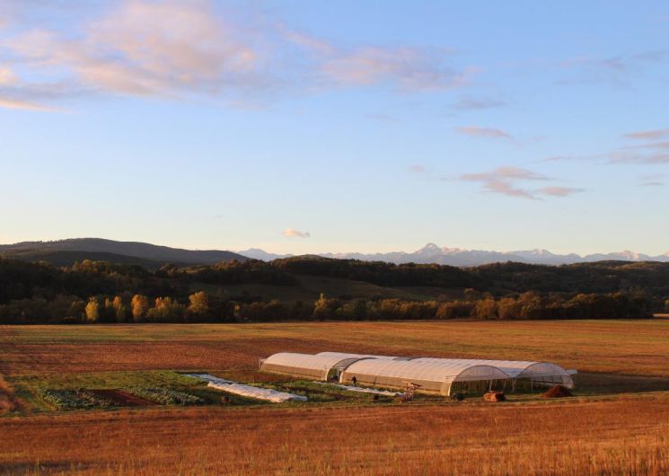 Marché à la Ferme des Croquants