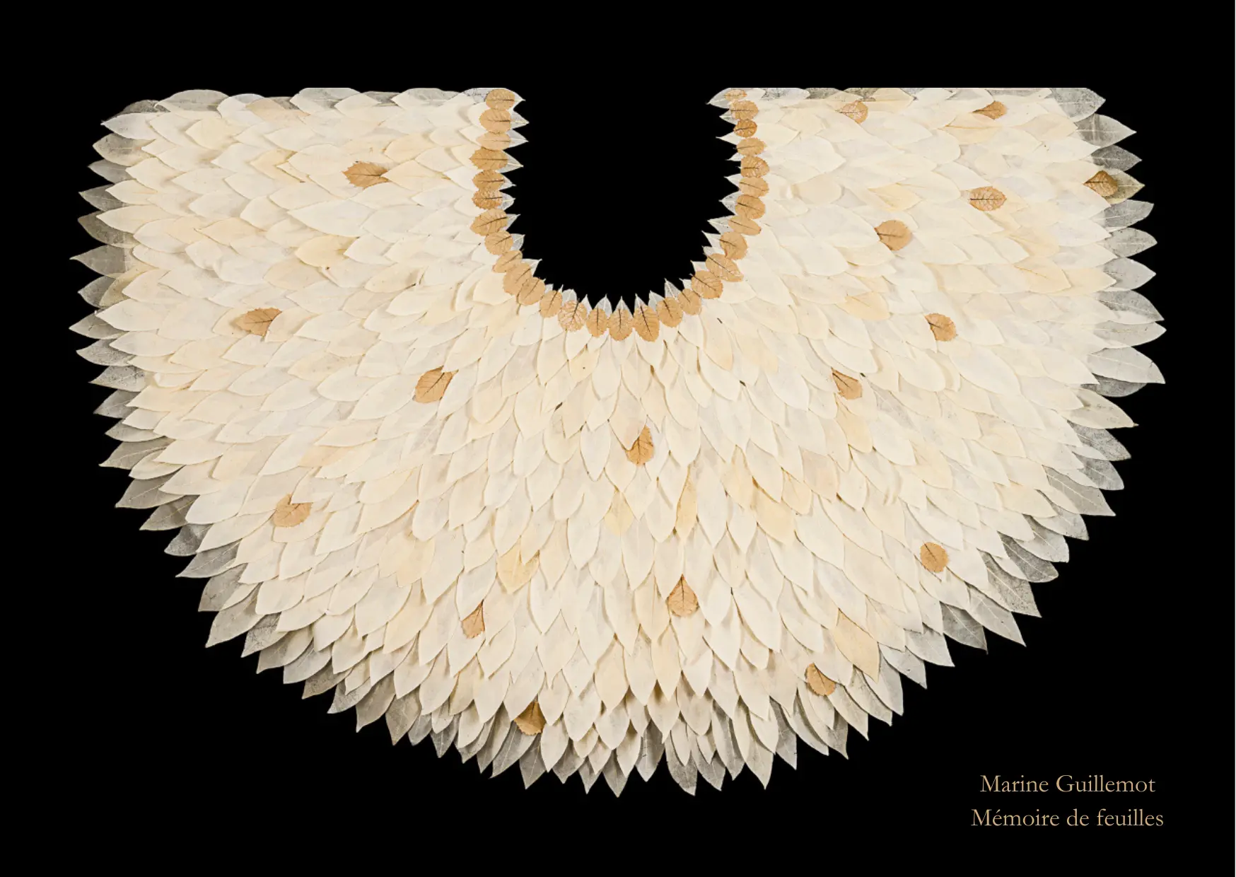 Visite guidée flash exposition "Mémoire de feuilles"