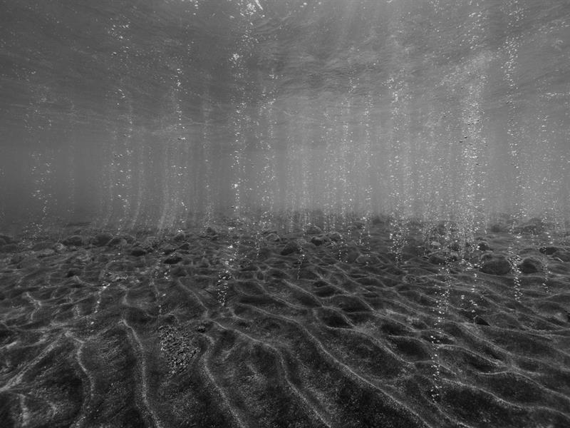 Exposition : Hydroscape