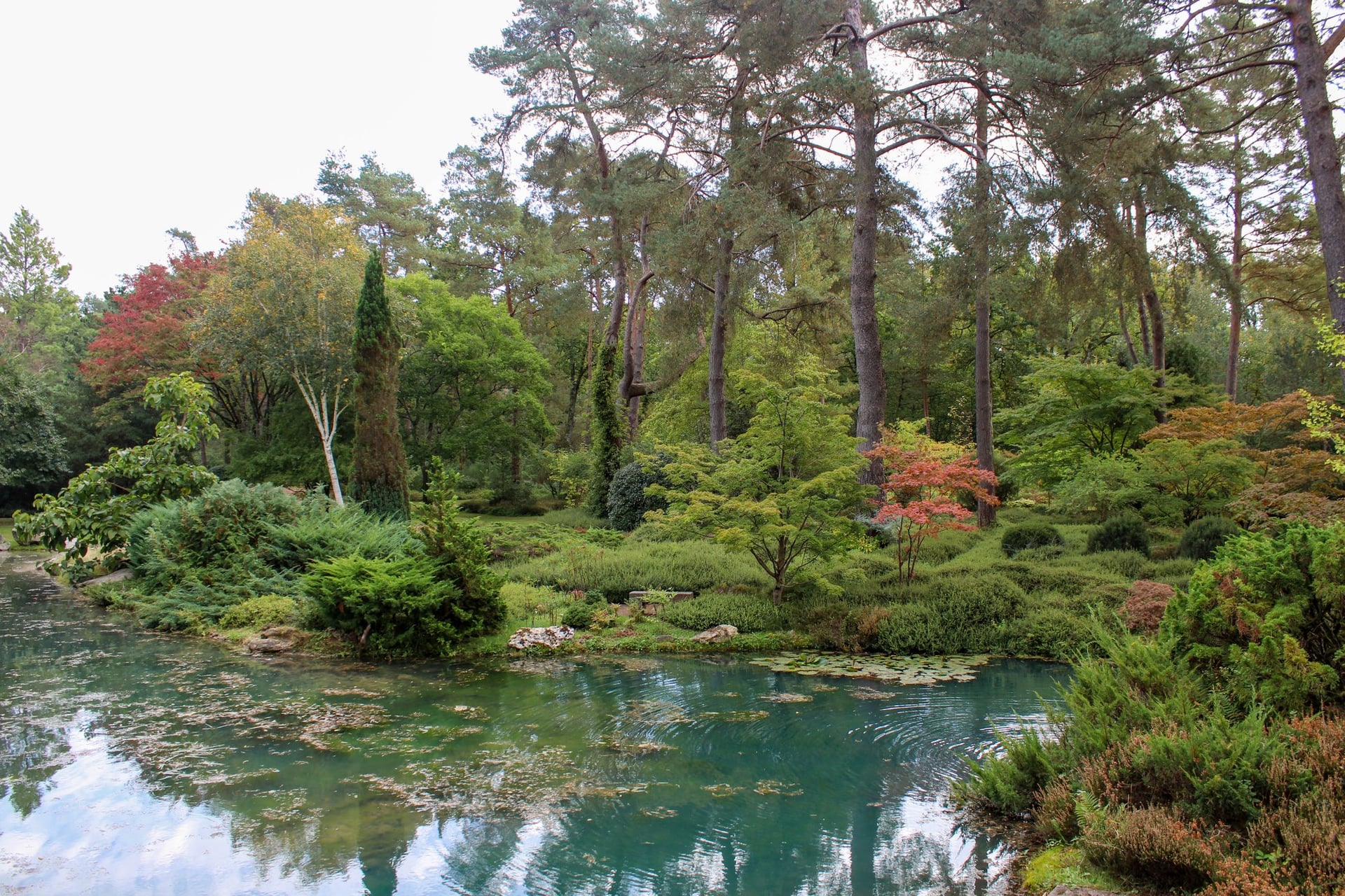 Navette touristique - Arboretum des Grandes Bruyères et Château de Chamerolles