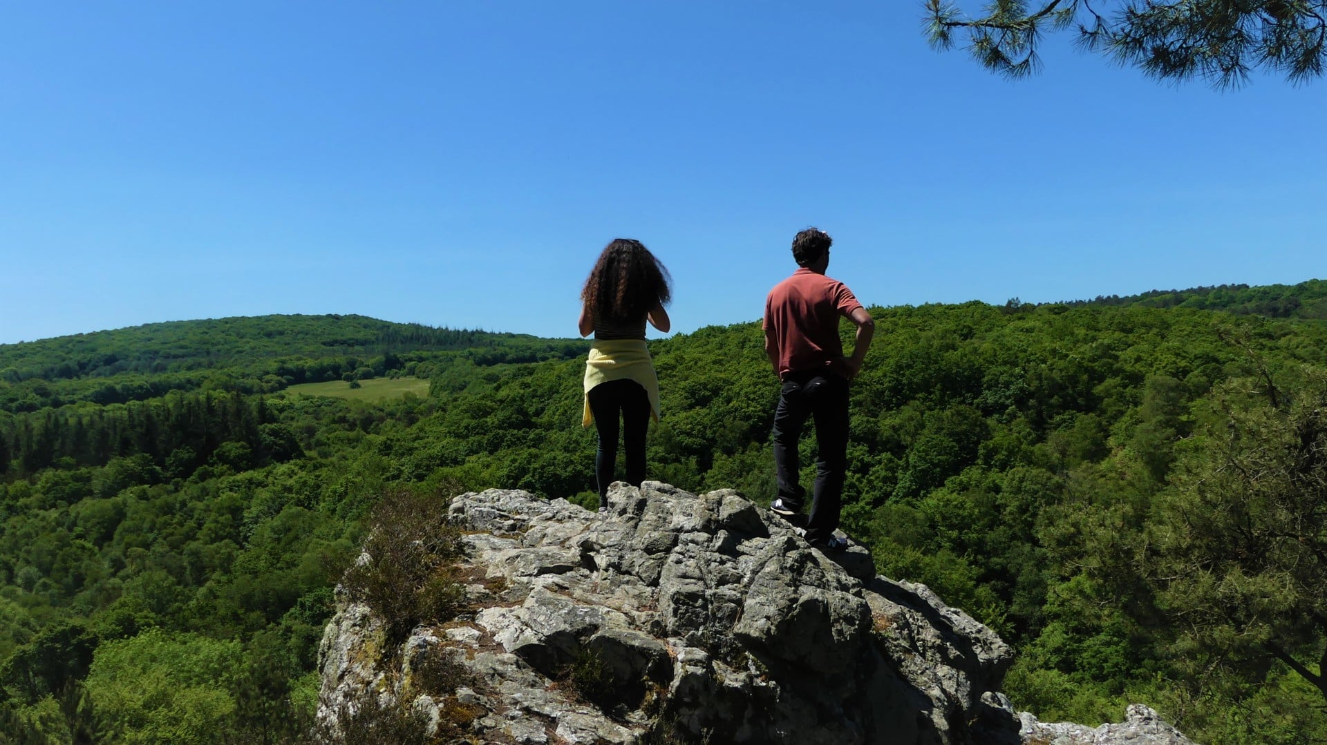 Rando contée en forêt : le Rocher de la Pie, paysages de la Vallée du Léguer