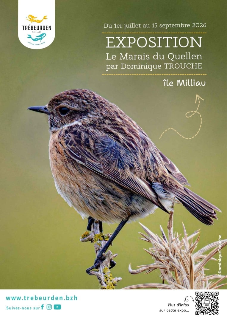 Exposition le marais du quellen