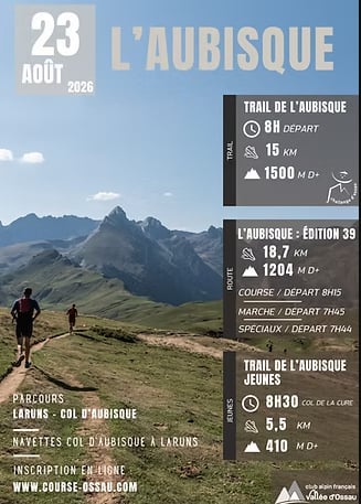 La Montée de l'Aubisque