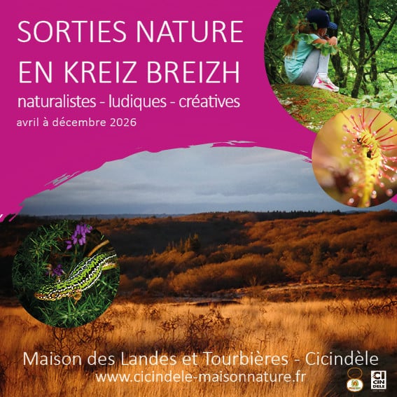 Le Bois des charbonniers – Sortie Nature
