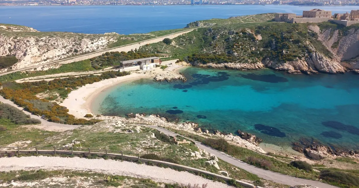 Balade écogarde : découverte du Frioul