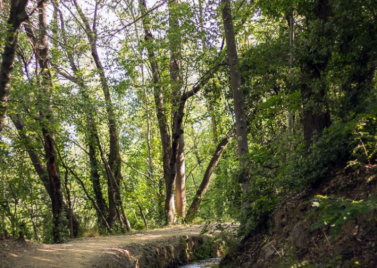 RANDO ACCOMPAGNEE : LE CANAL DE BOHERE ET L’ABBAYE SAINT-MICHEL DE CUXA