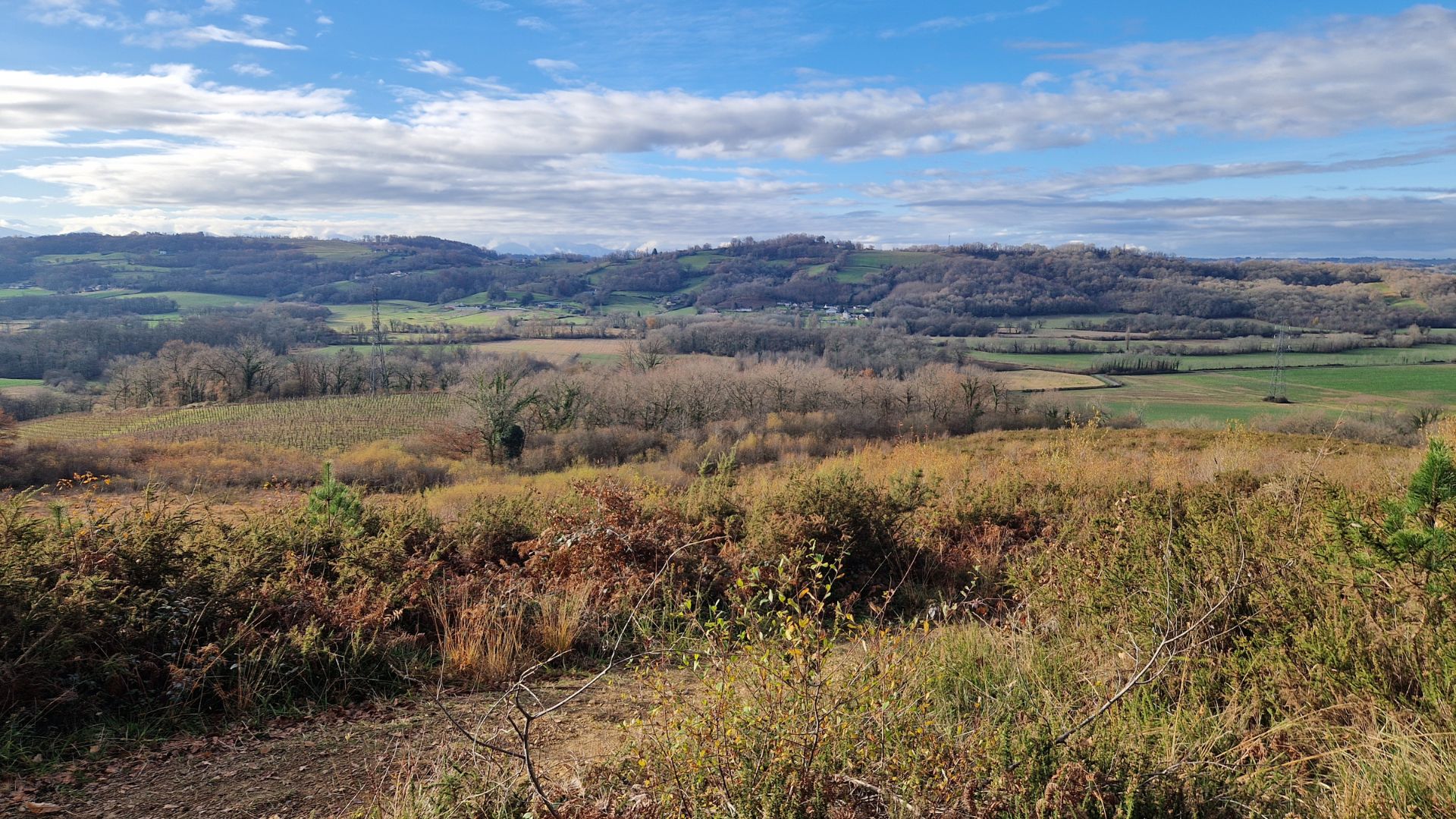 Biodivélo : Roulons à tire d'ailes vers les landes d'Abos et les papillons présents !