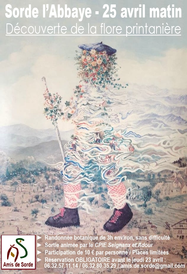 Randonnée - Découverte de l flore printanière
