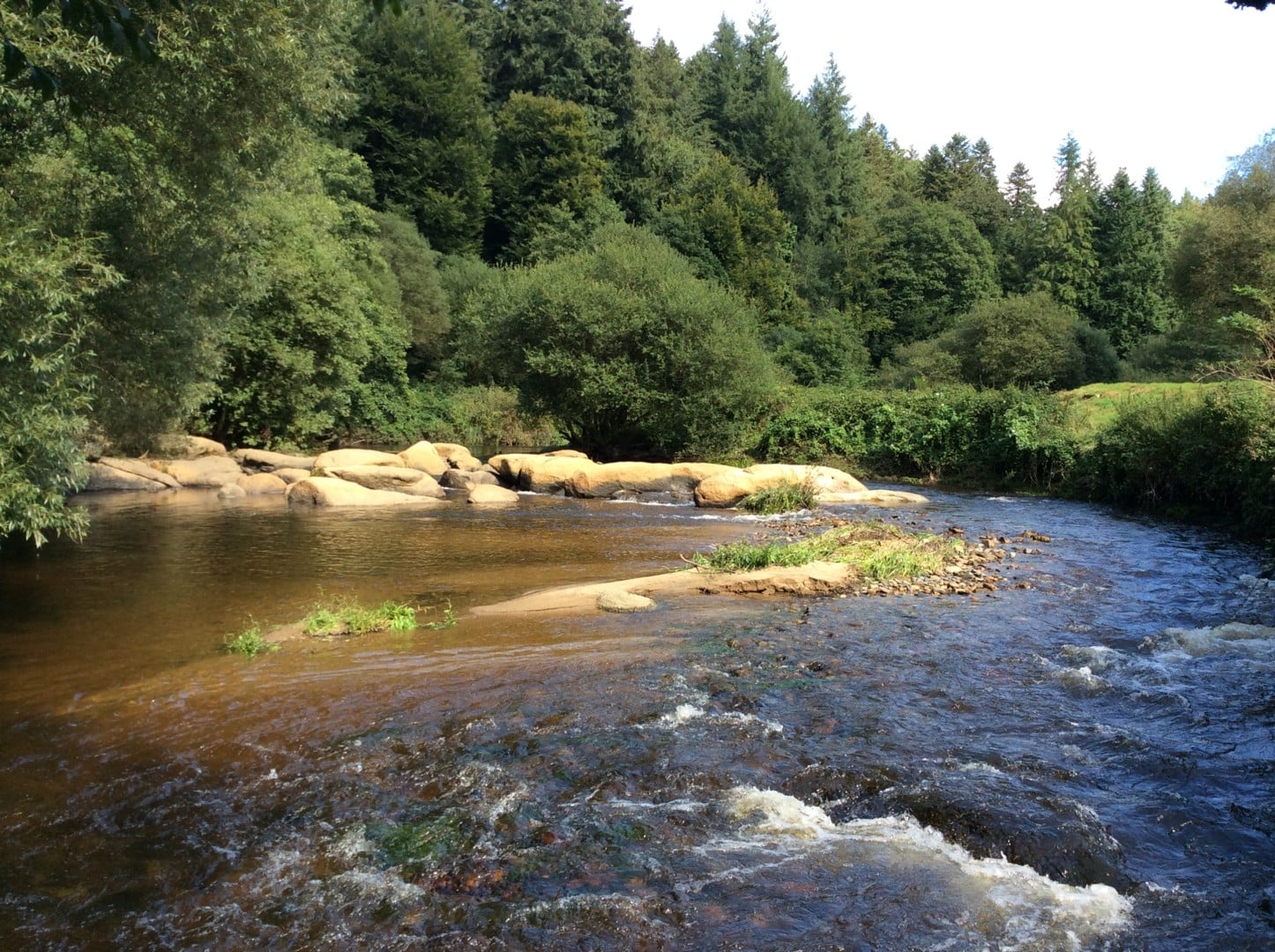 L’automne et ses mille couleurs : 1, 2, 3, imaginez, créez !