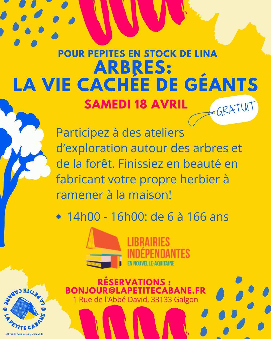 Atelier "Arbres : la vie cachée de gréants" à la Petite Cabane