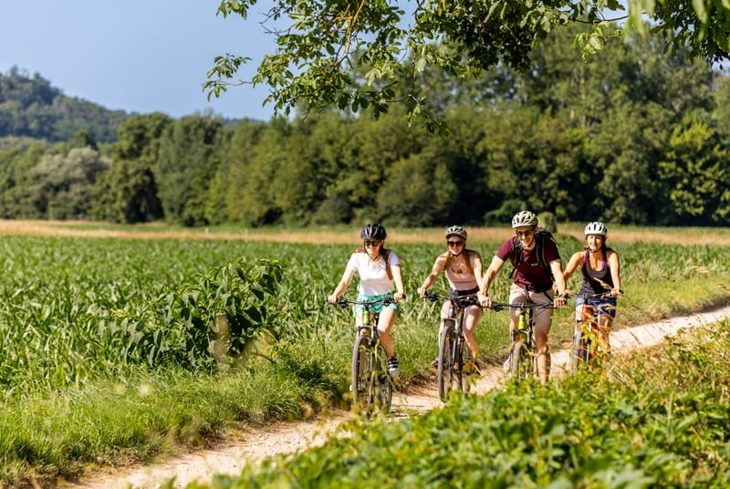 Printemps de la biodiversité - Balade printanière à vélo